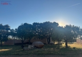 Rural estate for sale in Porzuna ref: TR209771 photo