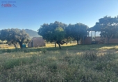 Rural estate for sale in Porzuna ref: TR209771 photo