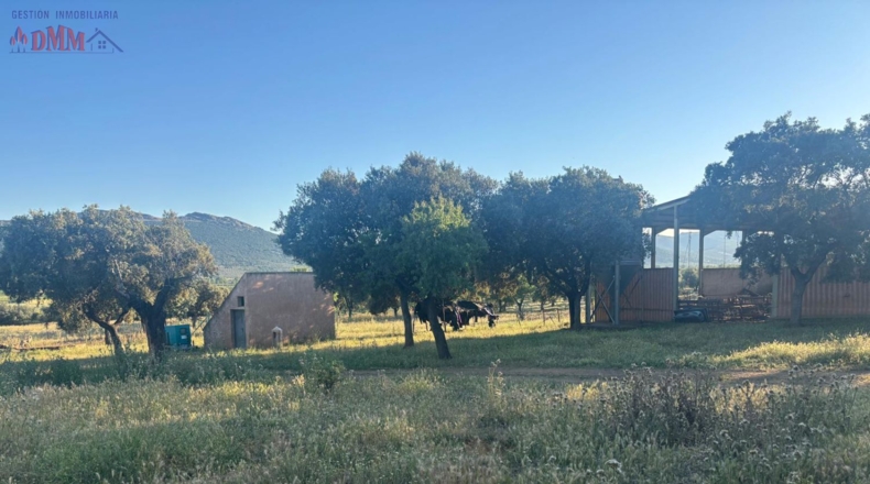 Ciudad Real - Las Betetas - 1000000m2