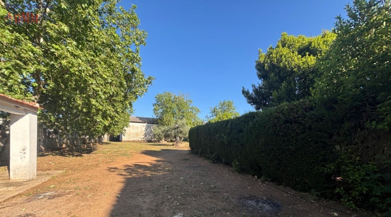 Ciudad Real - Ciudad Real - 2500000m2