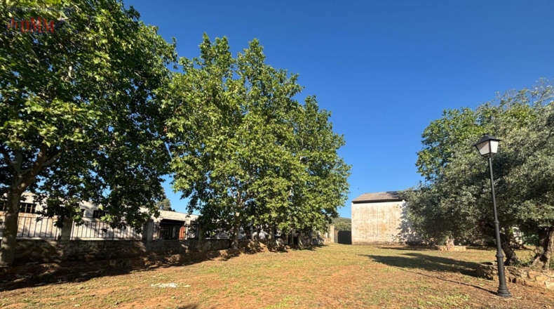 Ciudad Real - Ciudad Real - 2500000m2