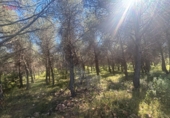 Rural estate for sale in Ciudad Real ref: TR82061 photo