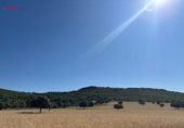 Rural estate for sale in Ciudad Real ref: TR82061 photo