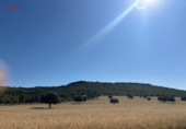 Rural estate for sale in Ciudad Real ref: TR82061 photo