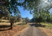 Rural estate for sale in Ciudad Real ref: TR82061 photo