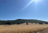 Rural estate for sale in Ciudad Real ref: TR82061 photo