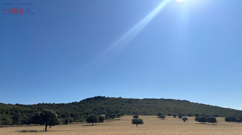 Ciudad Real - Fernán Caballero - 2400000m2