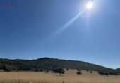 Rural estate for sale in Ciudad Real ref: TR82061 photo