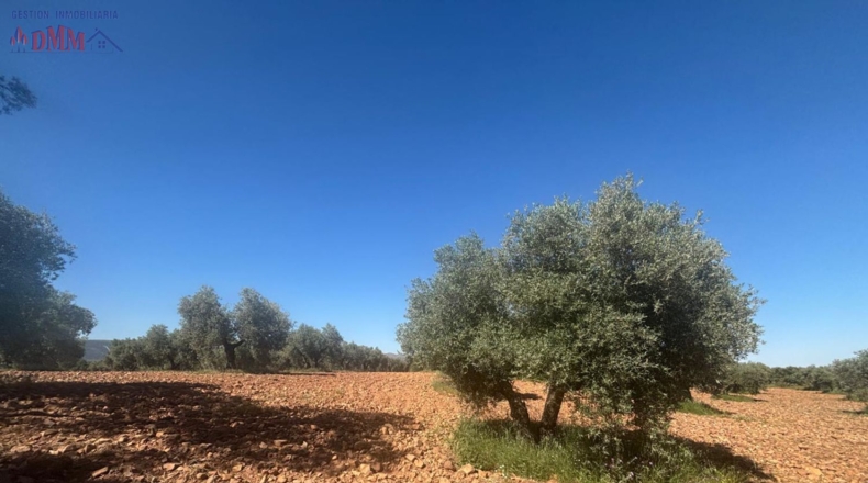 Ciudad Real - Fernán Caballero - 2400000m2