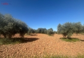 Rural estate for sale in Ciudad Real ref: TR82061 photo