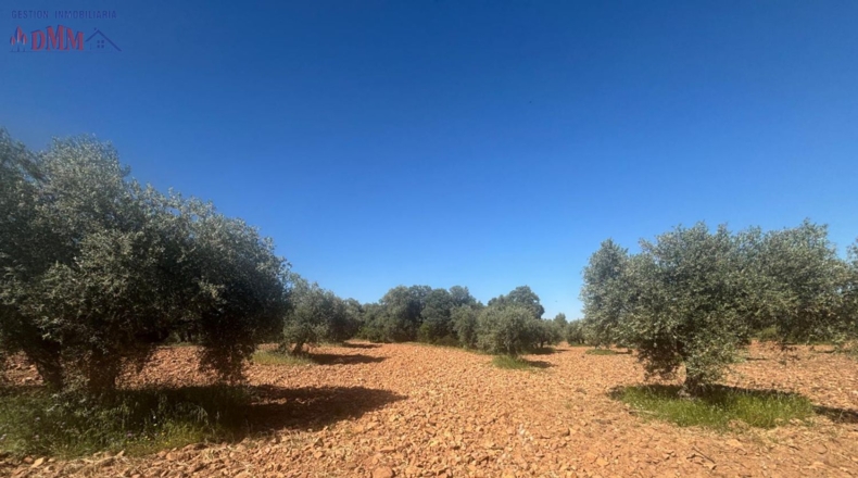 Ciudad Real - Fernán Caballero - 2400000m2