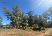 Rural estate for sale in Ciudad Real ref: TR82061 photo