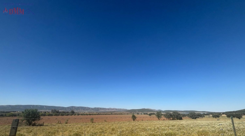 Ciudad Real - Fernán Caballero - 2400000m2