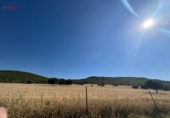 Rural estate for sale in Ciudad Real ref: TR82061 photo