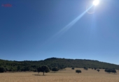 Rural estate for sale in Ciudad Real ref: TR82061 photo