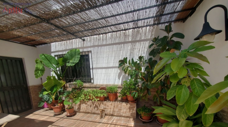 Сьюдад-Реаль - Malagón - 290m2