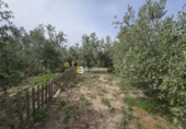 Xalet independent amb terreny en venda a Huércal-Overa ref.: TR410718 foto