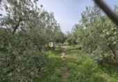 Xalet independent amb terreny en venda a Huércal-Overa ref.: TR410718 foto