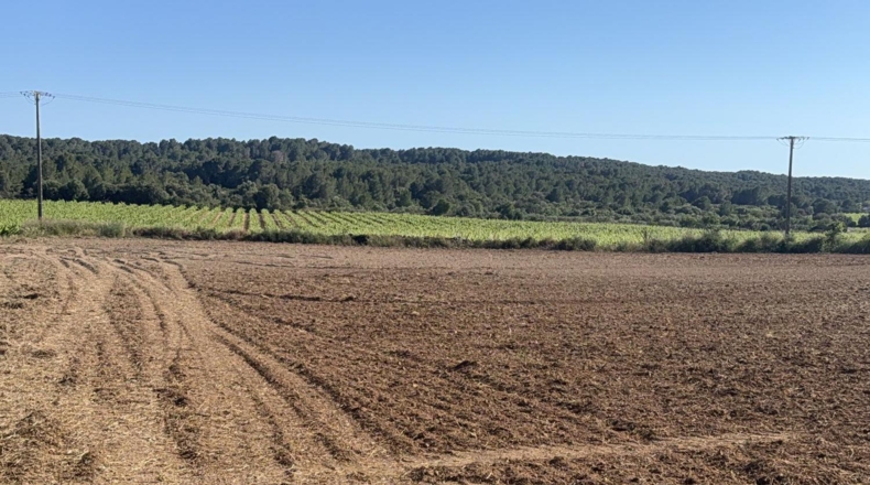 Tarragona - Bellvei - 13000m2