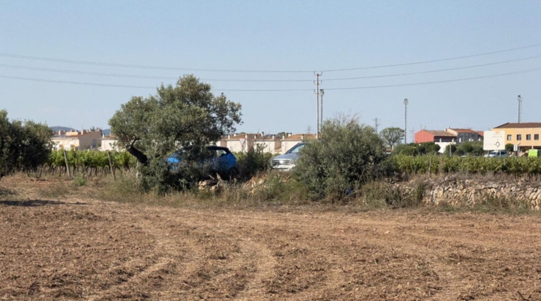 Tarragona - Bellvei - 13000m2