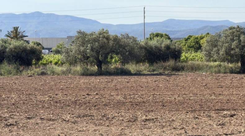 Tarragona - Bellvei - 13000m2