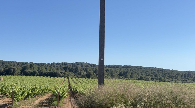 Tarragona - Bellvei - 13000m2