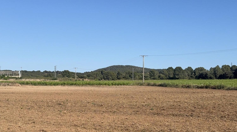 Tarragona - Bellvei - 13000m2