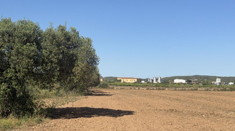 Tarragona - Bellvei - 13000m2