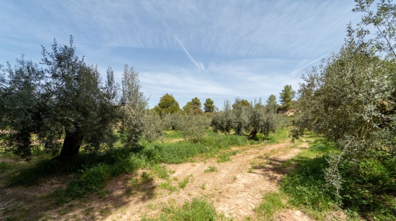 Tarragona - Flix - 13739m2