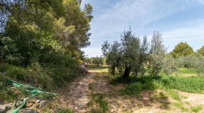 Tarragona - Flix - 13739m2
