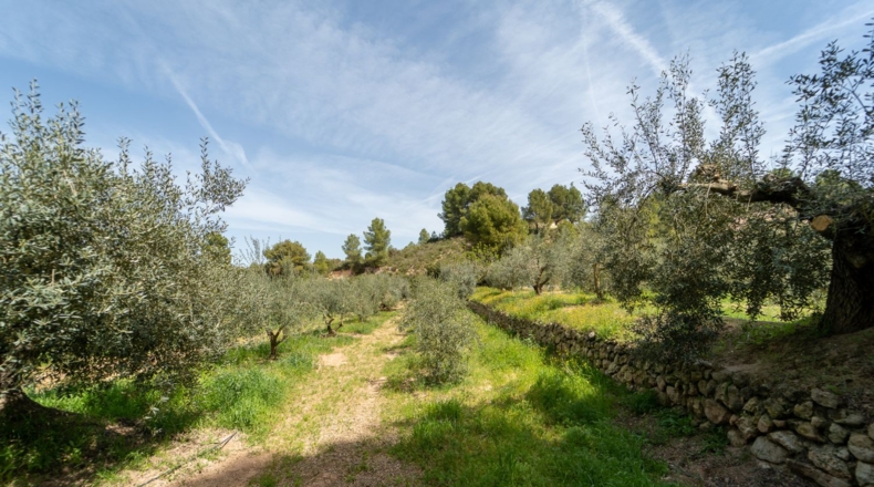 Tarragona - Flix - 13739m2
