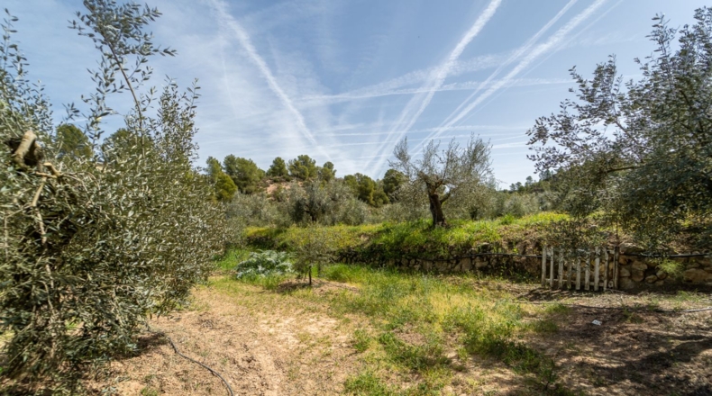 Tarragona - Flix - 13739m2