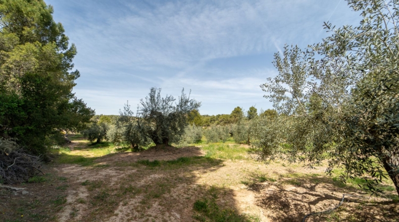 Tarragona - Flix - 13739m2