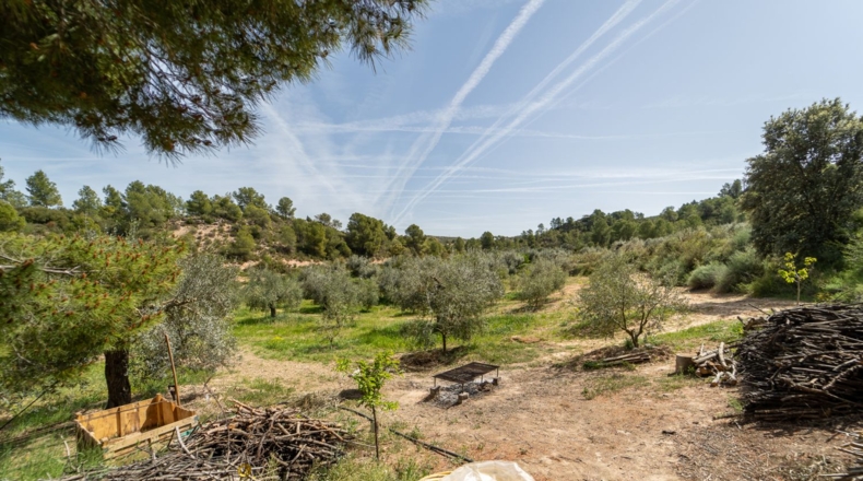 Tarragona - Flix - 13739m2