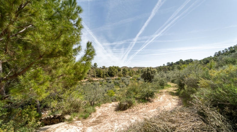 Tarragona - Flix - 13739m2