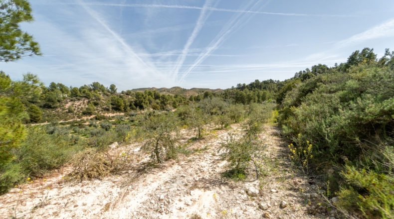 Tarragona - Flix - 13739m2