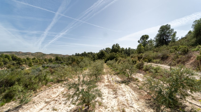 Tarragona - Flix - 13739m2