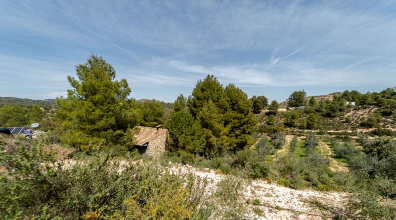 Tarragona - Flix - 13739m2