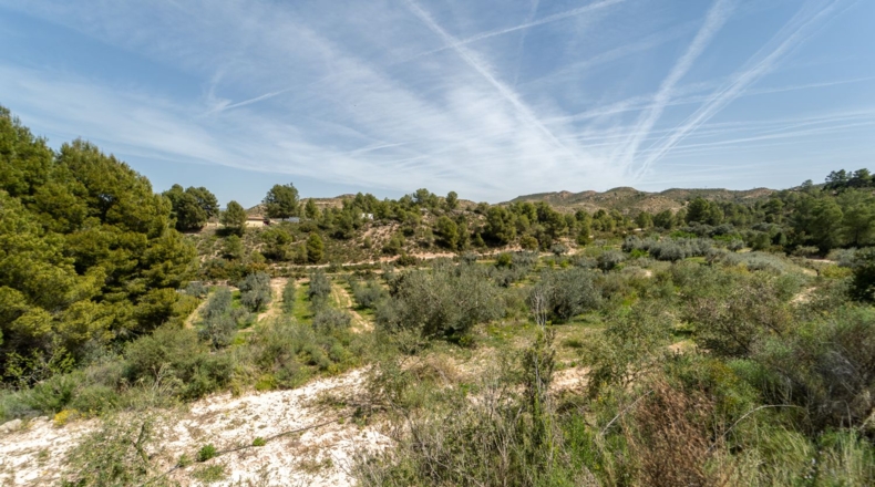 Tarragona - Flix - 13739m2