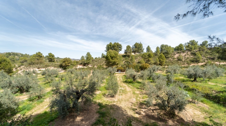 Tarragona - Flix - 13739m2