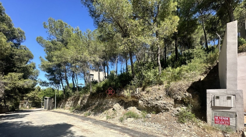 Valencia - Torres Torres - 1509m2