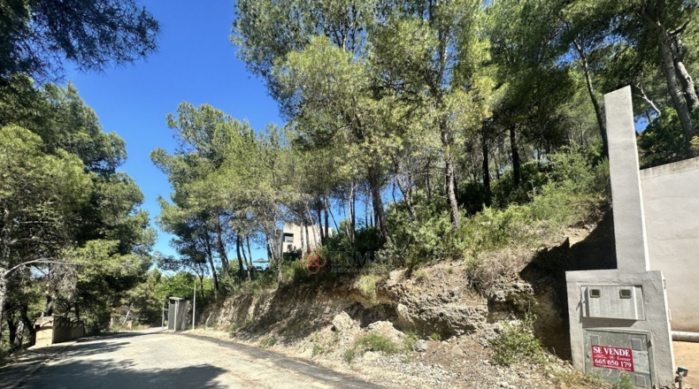 Valencia - Torres Torres - 1509m2