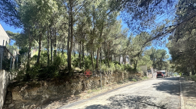 Valencia - Torres Torres - 1509m2