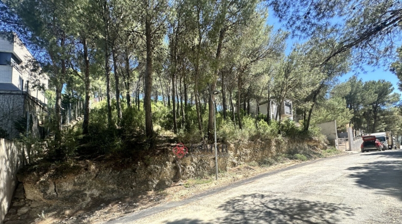 Valencia - Torres Torres - 1509m2