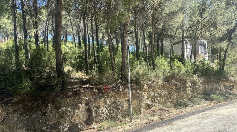 Valencia - Torres Torres - 1509m2