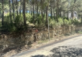 Suelo urbano en venta en Torres Torres ref: TR410731 foto