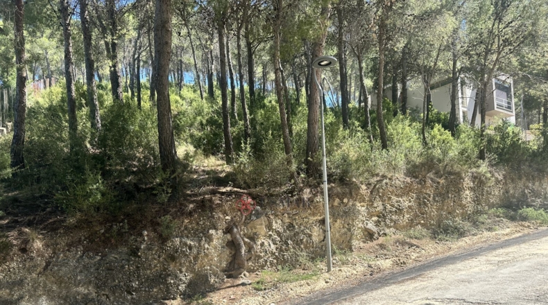 Valencia - Torres Torres - 1509m2