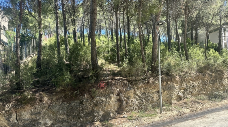 Valencia - Torres Torres - 1509m2