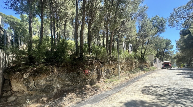 Valencia - Torres Torres - 1509m2