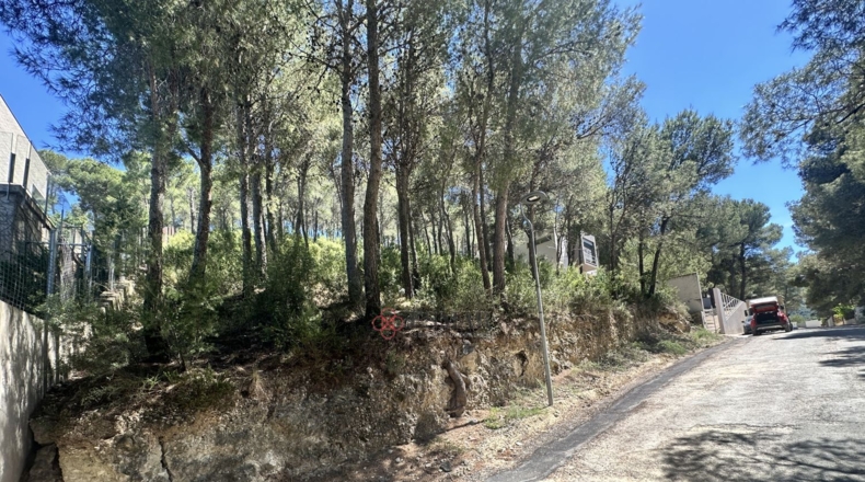 Valencia - Torres Torres - 1509m2